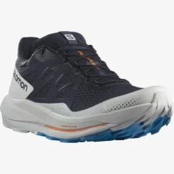 Salomon Men’s Pulsar Trail Gore-Tex (Night Sky/Lunar Rock/Indigo Bunting) -Chic Shoe Store 366C156A 66F8 4697 92F0 085D8159BC09