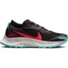 Nike Men's Pegasus Trail 3 GORE-TEX (002 - Black/Bright Crimson/Dark Beetroot)