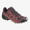 Salomon Women's Speedcross 5 (apple Butter/wine Tasting/alloy) -Chic Shoe Store Women sSpeedcross5 AppleButter WineTasting Alloy